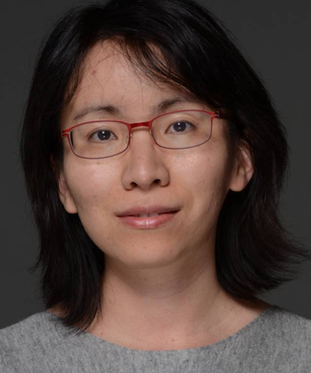 Prof. Yulan He